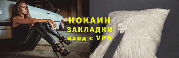шишки Кукмор
