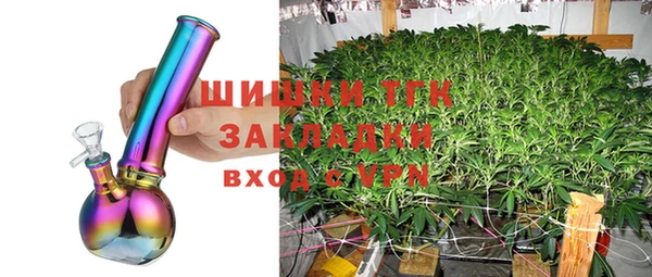 соль ск Кулебаки