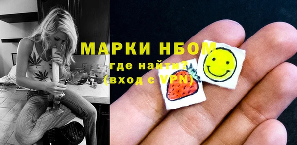 соль ск Кулебаки