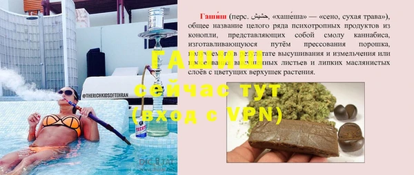 соль ск Кулебаки