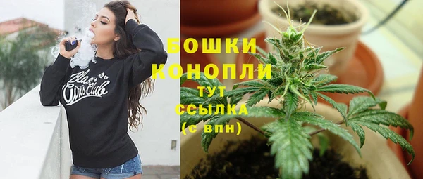 соль ск Кулебаки