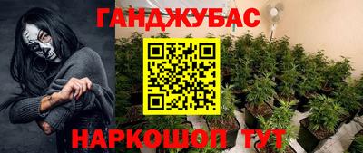 прущие крисы Гай