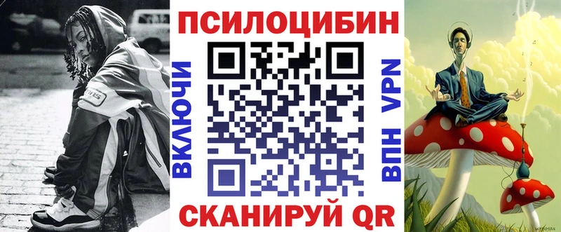 kraken онион  Сорочинск  Псилоцибиновые грибы Magic Shrooms 