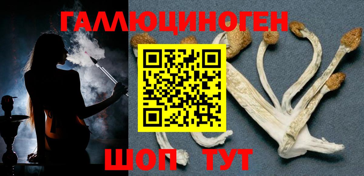 Галлюциногенные грибы ЛСД  Псилоцибиновые грибы прущие грибы  Сорочинск  Вход с VPN 